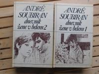 ANDRE SOUBIRAN - DNEVNIK ŽENE V BELEM (KZ1)