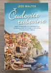 ČUDOVITE RUŠEVINE Jess Walter