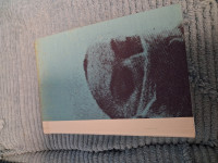 dnevnik žene v belem