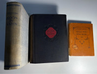 F.M. DOSTOJEVSKIJ knjige