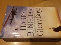 Glory Boys by Harry Bingham  - angleško