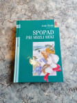 Jože Rode SPOPAD PRI MRZLI REKI 2000