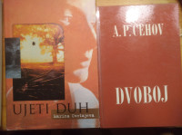 Leposlovje in priročniki v slovenščini