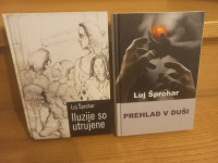 Luj Šprohar - Iluzije so utrujene, Prehlad v duši
