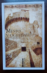 Mirko Kovač - Mesto v ogledalu