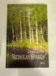 Nicholas Sparks Usodni ovinek