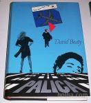 PALICA – David Beaty (roman – letalstvo, pilot, stevardese.