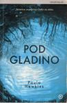 Pod gladino / Paula Hawkins