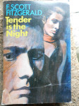 TENDER IS THE NIGHT
