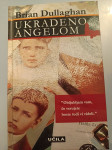 Ukradeno angelom, Brian Dullaghan