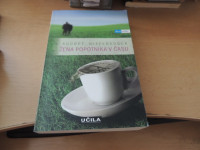 ŽENA POPOTNIKA V ČASU A. NIFFENEGGER ZALOŽBA UČILA INT. 2006