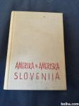 Amerika in Ameriška Slovenija