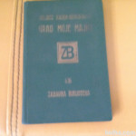 Grad moje majke Juljusz Kaden -Bandrowski