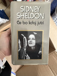 Sydney Sheldon: Če bo kdaj jutri