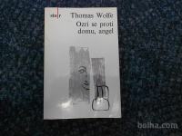 Thomas Wolfe: Ozri se proti domu, angel