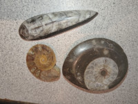 Fosili-minerali-kamnine