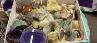 Minerali;kamnine in školjke