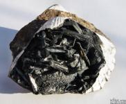 minerali, kristali - Vivianit Kerčenit (v fosilni školjki)