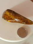 Prečudoviti naravni baltski jantar- fosil- 28g