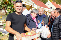 Domača jabolka Mošancelj