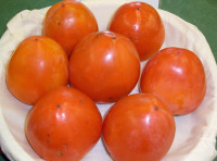 Kupim Kaki za predelavo