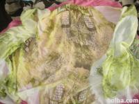 Modni šal z vzorci, rumeno zelen