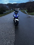 Druge znamke Raptor 50 cm3