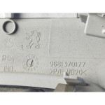 9681370177 PLAFONIERA LUCE INTERNA ABITACOLO PEUGEOT 3008 2.0 D 120KW