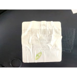 CN15-A27407-A PANNELLO INTERNO PORTA POSTERIORE SINISTRA FORD ECOSPORT