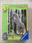 Puzzle ANDALUZIJSKI KONJ - 54 kos Original Ravensburger NOVO