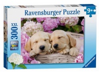 Puzzle sestavljanke Ravensburger Kužka v košari 300 delne