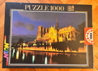 sestavljanka EDUCA – Notre Dame, Paris (Neon Series) – 1000 kosov