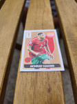 extra sticker panini