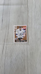 Extra sticker Valverde bronze