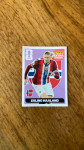 Fifa panini Haaland