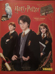 Harry Potter - Čarovnice in Čarovniki