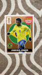 Vinicius panini