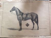 Avstroogrska-katalog Jisef Bohn iz Dunaja slika 42x29