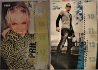 P!NK & Chester Benningron (LINKIN PARK) - poster A3 format