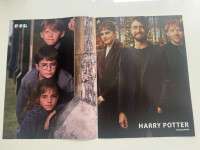 Plakat HARRY POTTER