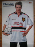 Poster David Beckham