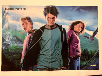 Poster Harry Potter – originalna filmska ilustracija