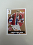 World cup 2026 panini extra sticker Erling Haaland