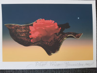 Biljana Unkovska, Night flight, sitotisk