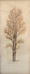Slika Drevo