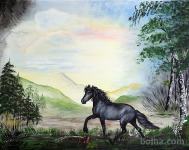 Slika - Konj v naravi - Akril - AKCIJA