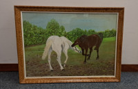 Slika konja v naravi