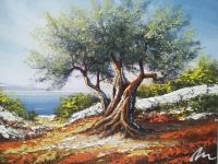 Slika Oljčno drevo
