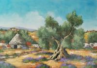 Slika Oljka in kamnita hiša v Istri 2