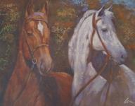Slika Rjav in bel konj